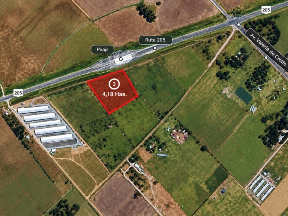 REBAJADO CAMPO 4,18 HA. – URIBELARREA