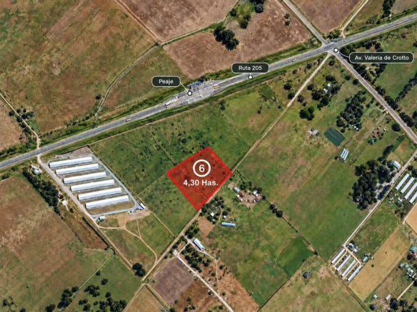 REBAJADO CAMPO 4,30 HA. – URIBELARREA