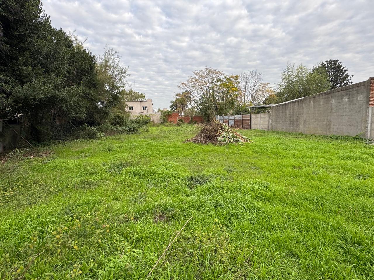 Lote Amplio – Lobos