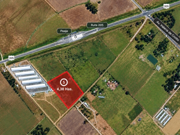 CAMPO 4,38 HA. – URIBELARREA