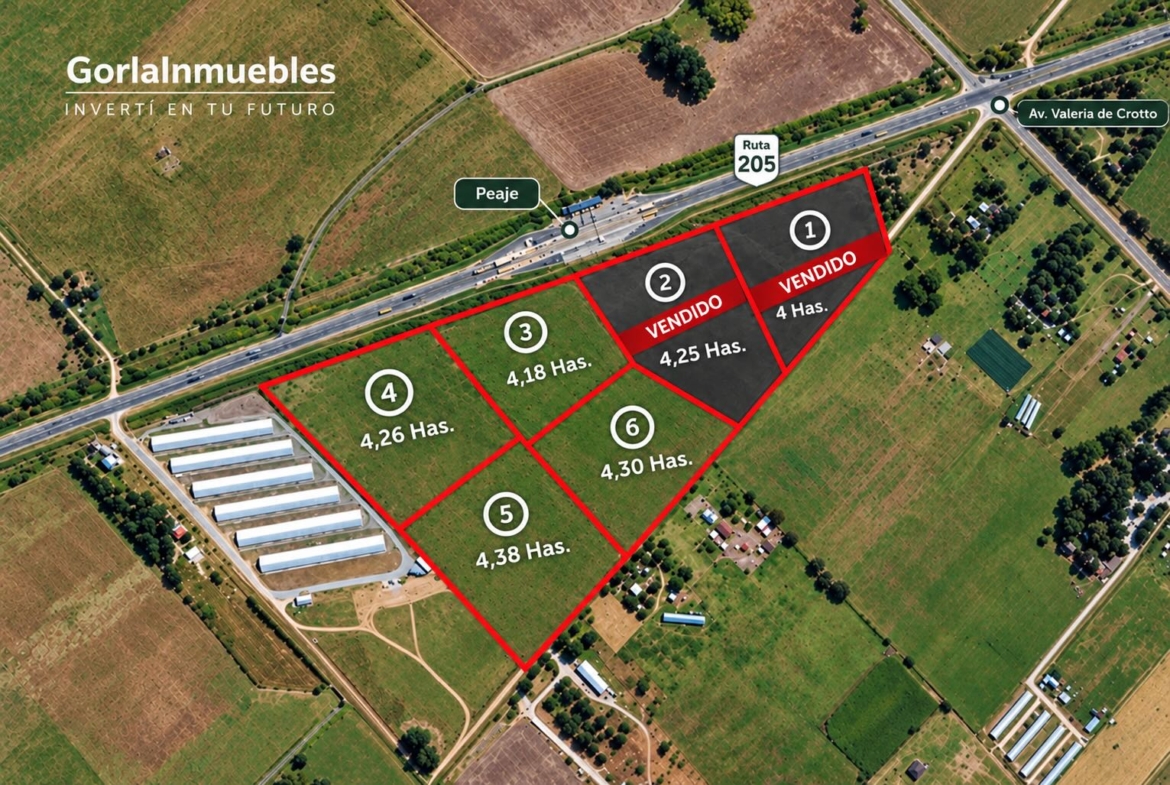 CAMPO 4,38 HA. – URIBELARREA