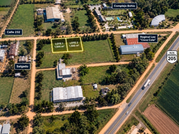 2 Lotes Industriales – Lobos