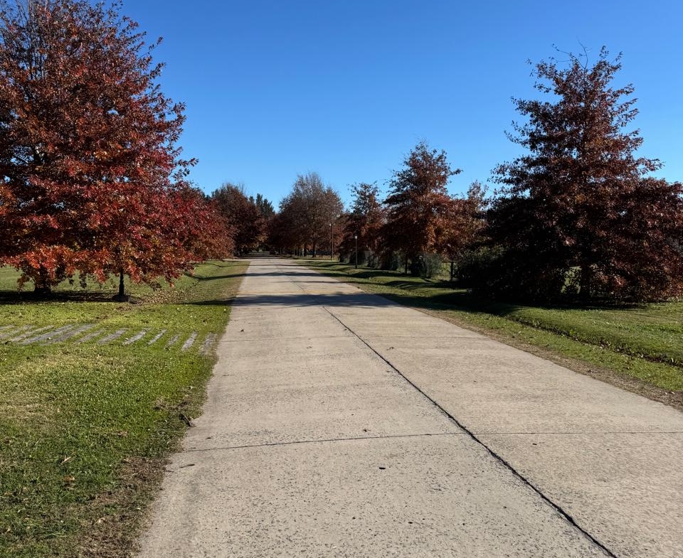 Lote La Federala Club de Campo