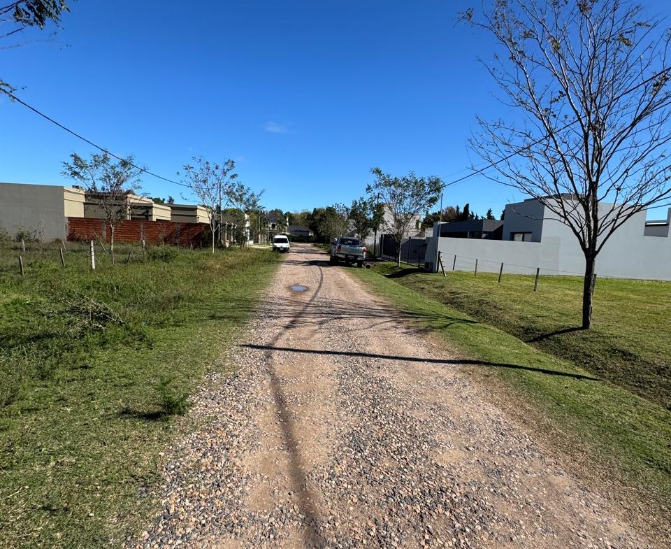 Lote Amplio – Lobos