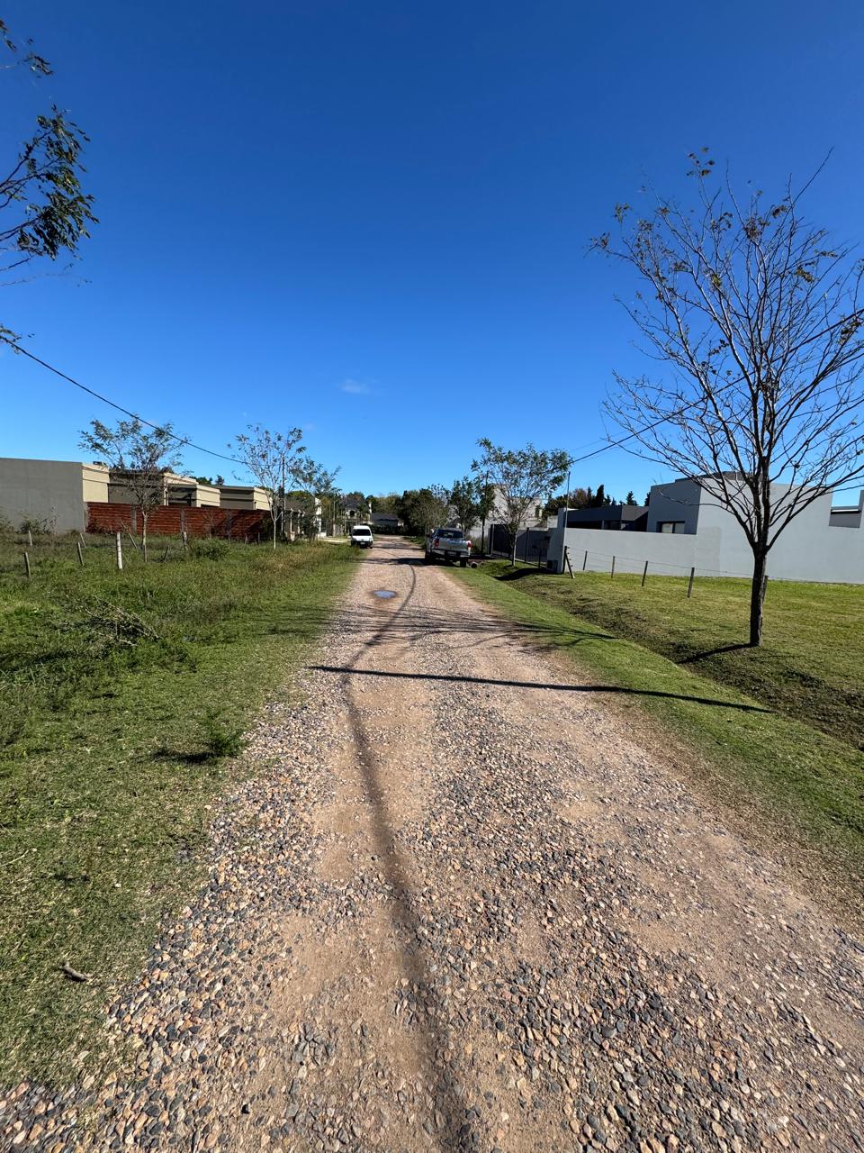 Lote Amplio – Lobos
