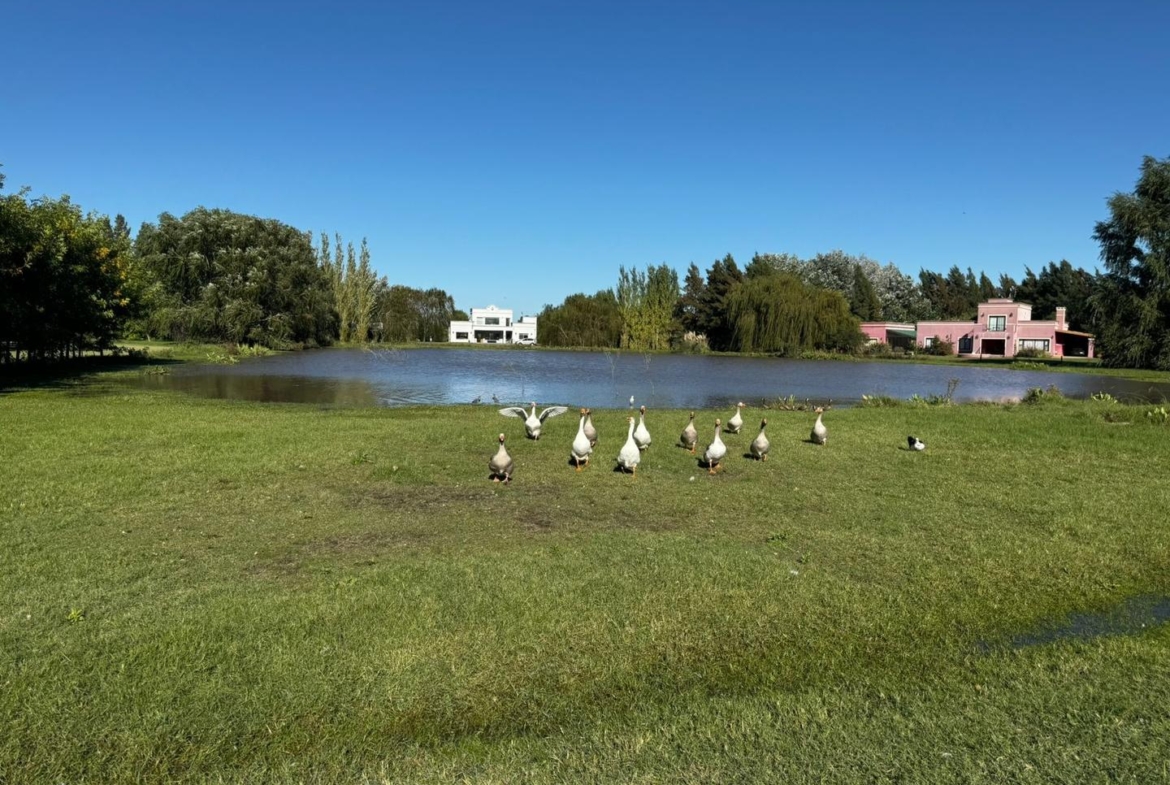 Chacra 2 Dorm. – 3 Baños – Barrio Cerrado Chacras de Uribelarrea