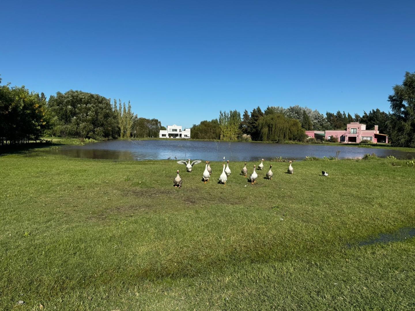 Chacra 2 Dorm. – 3 Baños – Barrio Cerrado Chacras de Uribelarrea