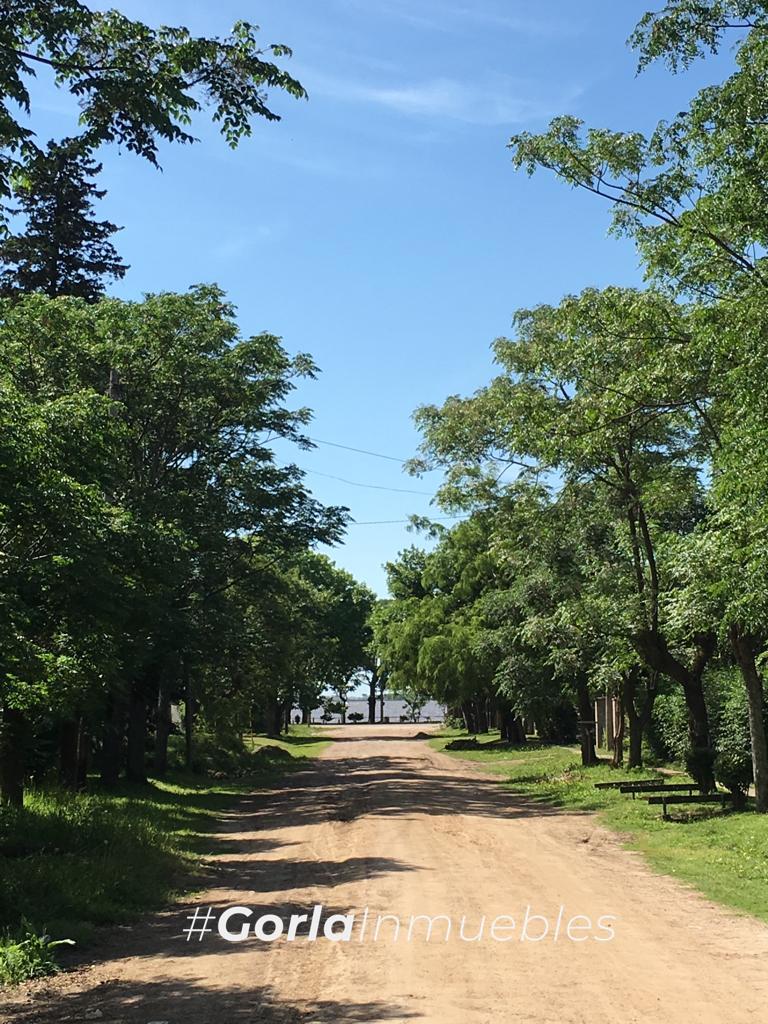 Lote Laguna de Lobos