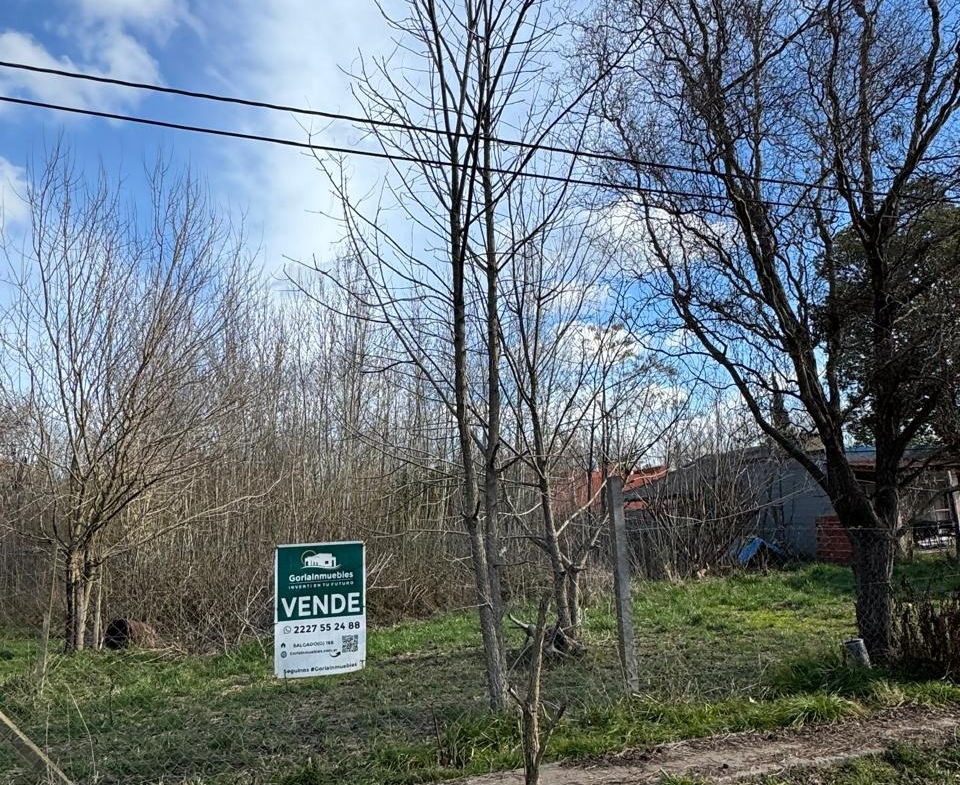 Lote Laguna de Lobos