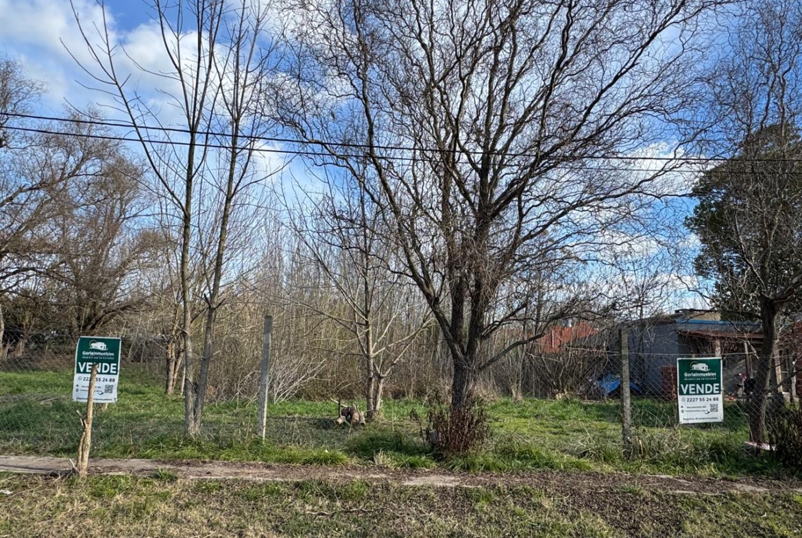 Lote Laguna de Lobos