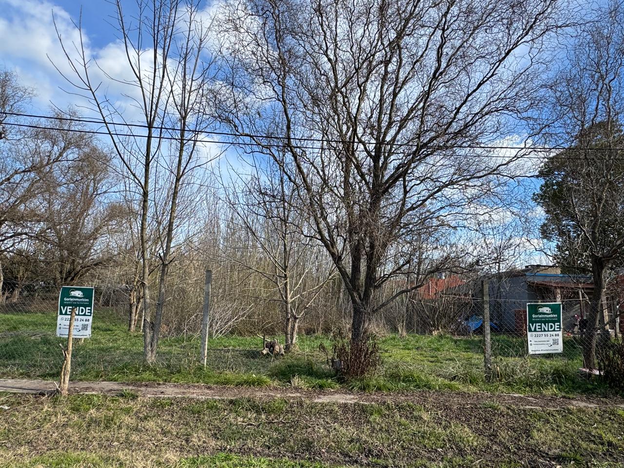 Lote Laguna de Lobos